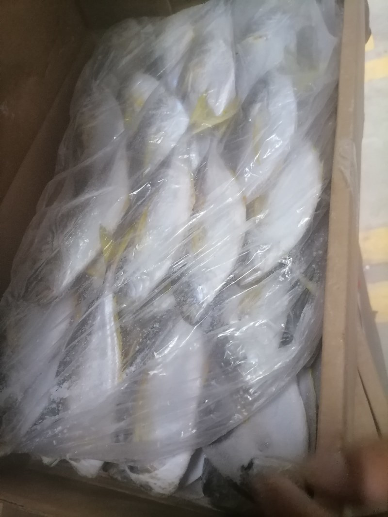 树叶鱼10kg/箱叶子鱼白菜价，量大询价