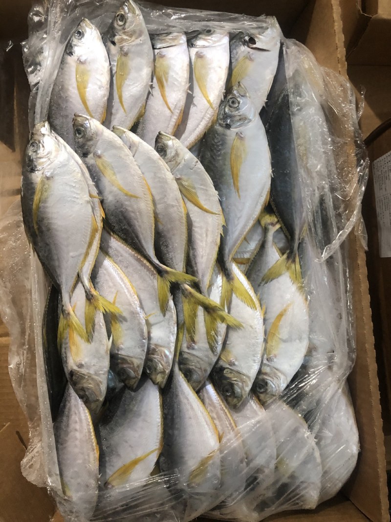 树叶鱼10kg/箱叶子鱼白菜价，量大询价