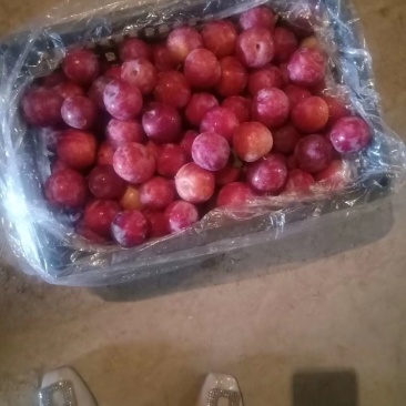 玫瑰李，雪花李，甜李子，个头大，口感甜，质量有保障