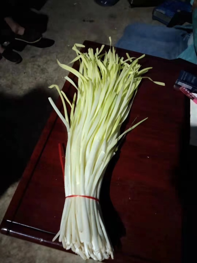 基地直供，货源充足