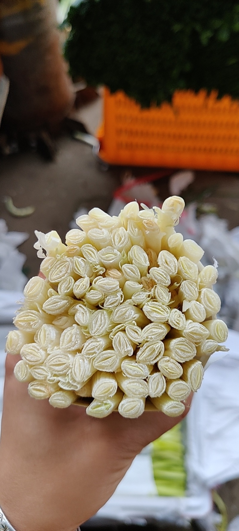 基地直供，货源充足