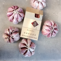 云南红皮大蒜，红香蒜