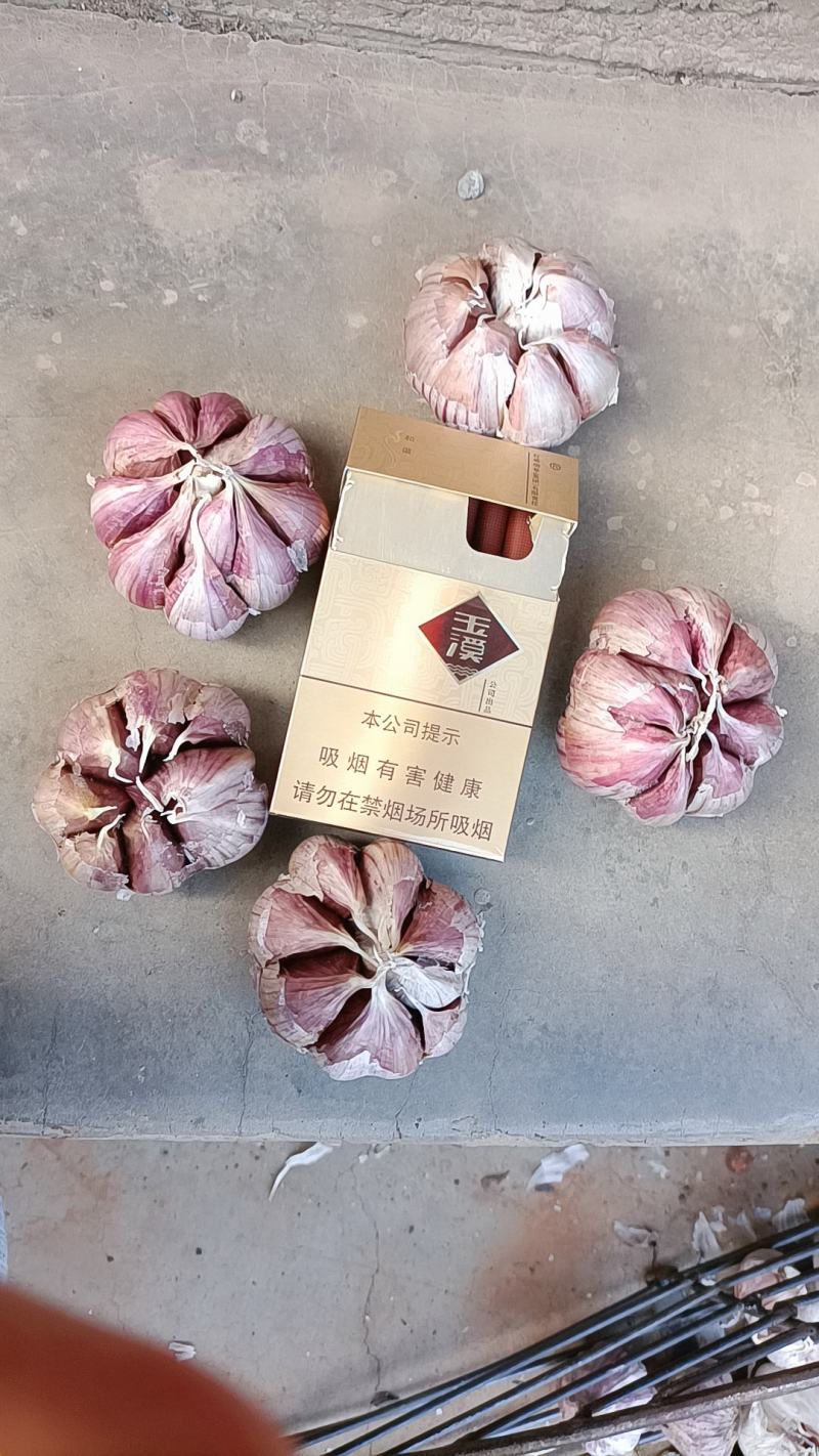 云南红皮大蒜，红香蒜