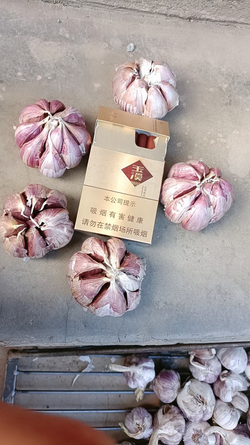云南红皮大蒜，红香蒜