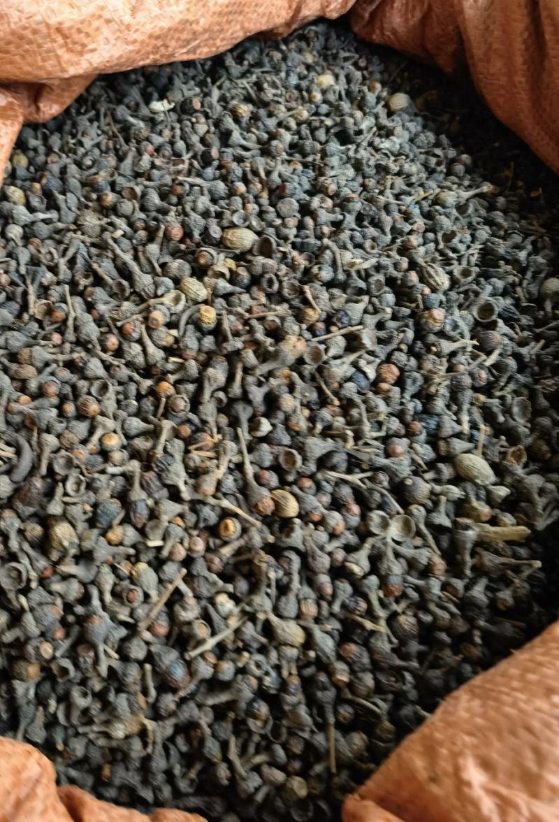 桂籽，干货香料专供，大量现货，门店专卖，欢迎联系