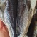 淡干河豚鱼
