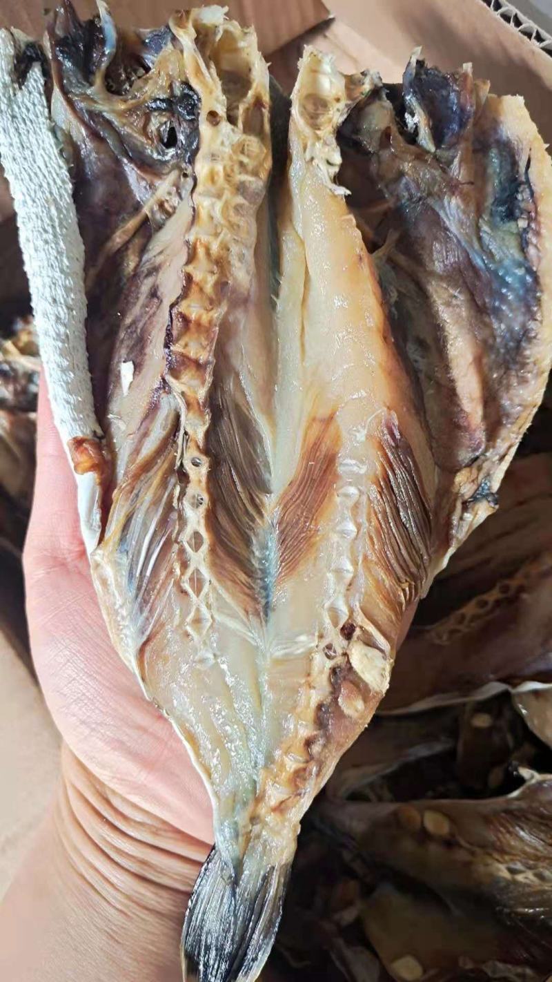 淡干河豚鱼