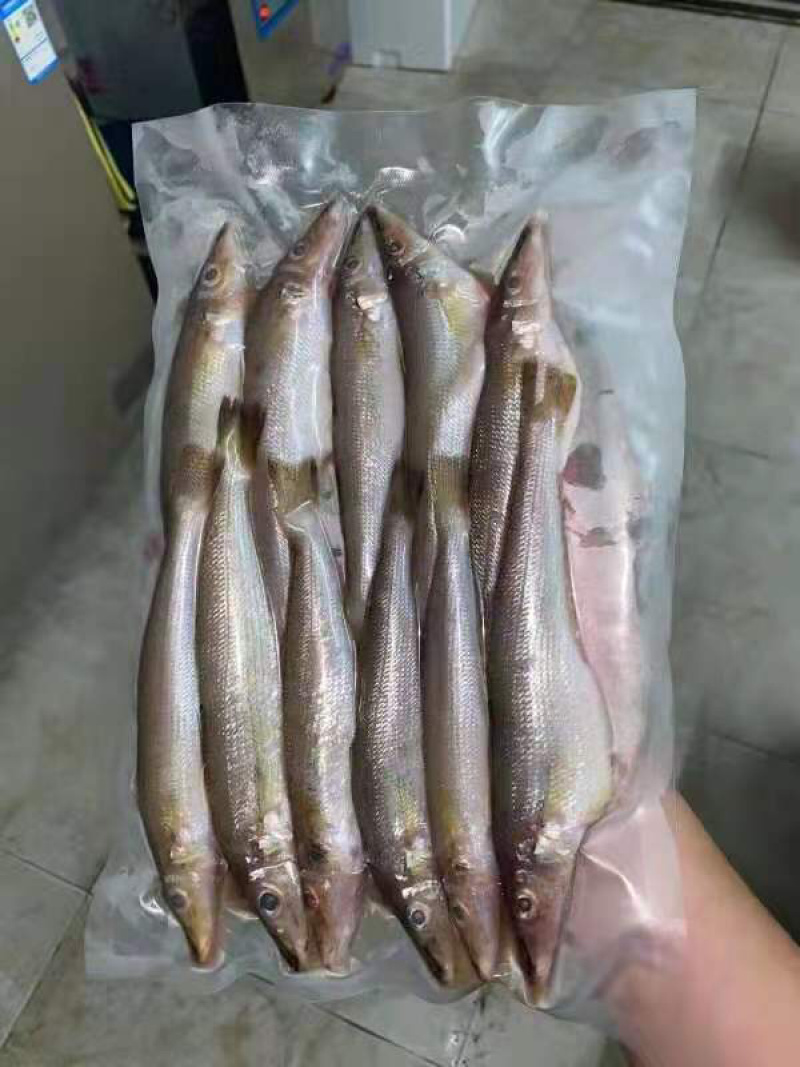冰鲜沙尖鱼/沙丁鱼/沙占鱼，一手货源，全国发货，大量有货