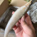 冰鲜沙尖鱼/沙丁鱼/沙占鱼，一手货源，全国发货，大量有货