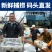 青岛大鲅鱼新鲜冷冻马鲛鱼鲜活海鲜鲅鱼馅咸鲐鲅鱼顺丰包邮