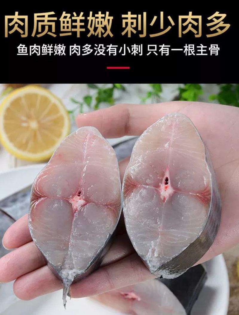 青岛大鲅鱼新鲜冷冻马鲛鱼鲜活海鲜鲅鱼馅咸鲐鲅鱼顺丰包邮