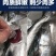 青岛大鲅鱼新鲜冷冻马鲛鱼鲜活海鲜鲅鱼馅咸鲐鲅鱼顺丰包邮