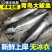 青岛大鲅鱼新鲜冷冻马鲛鱼鲜活海鲜鲅鱼馅咸鲐鲅鱼顺丰包邮