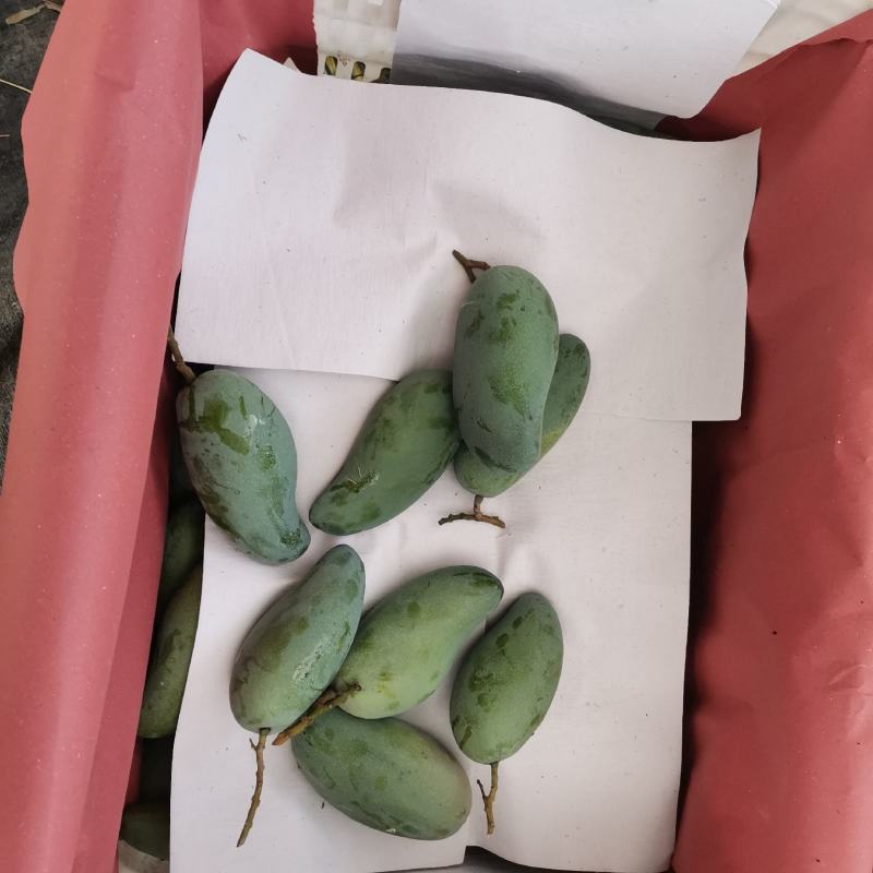 百色金煌芒电商平台团购平台整车发货一件代发电话联系