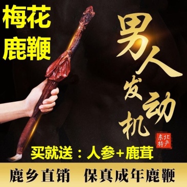 【诚信经营】九年老店梅花鹿鹿鞭鹿场直发需要联系我
