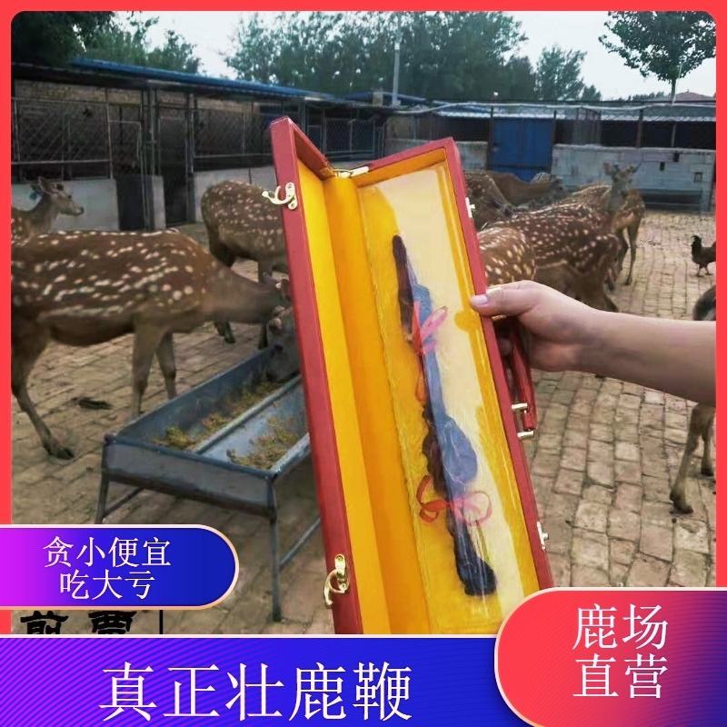 【诚信经营】九年老店梅花鹿鹿鞭鹿场直发需要联系我