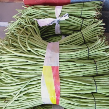 长豆角绿色好看细条欢迎新朋友来电