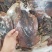 最新鱿鱼干