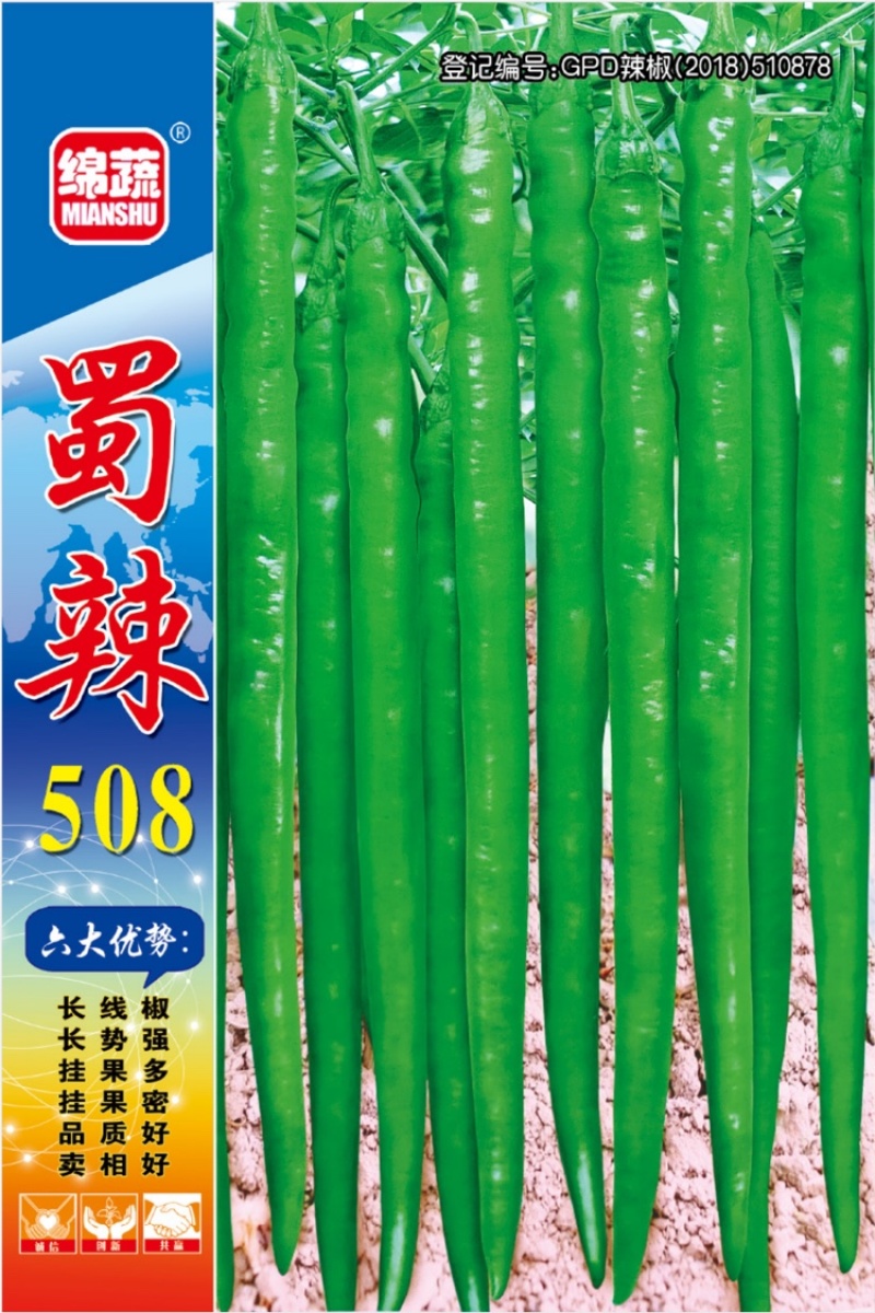 蜀辣508/辣椒种子/线椒种子/蔬菜种子/绵蔬种业
