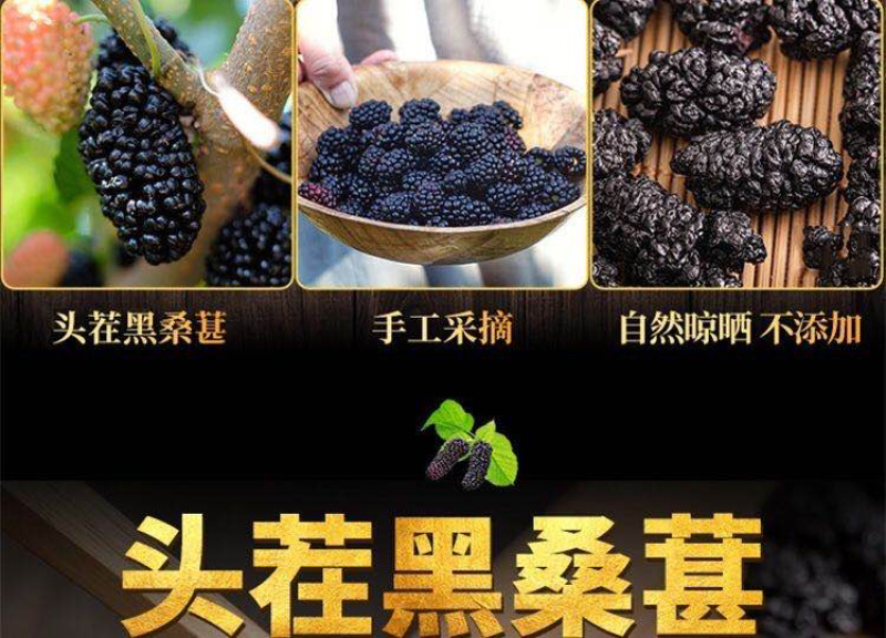 桑葚干四川颗颗精选诚信经营基地直供欢迎老板采购！