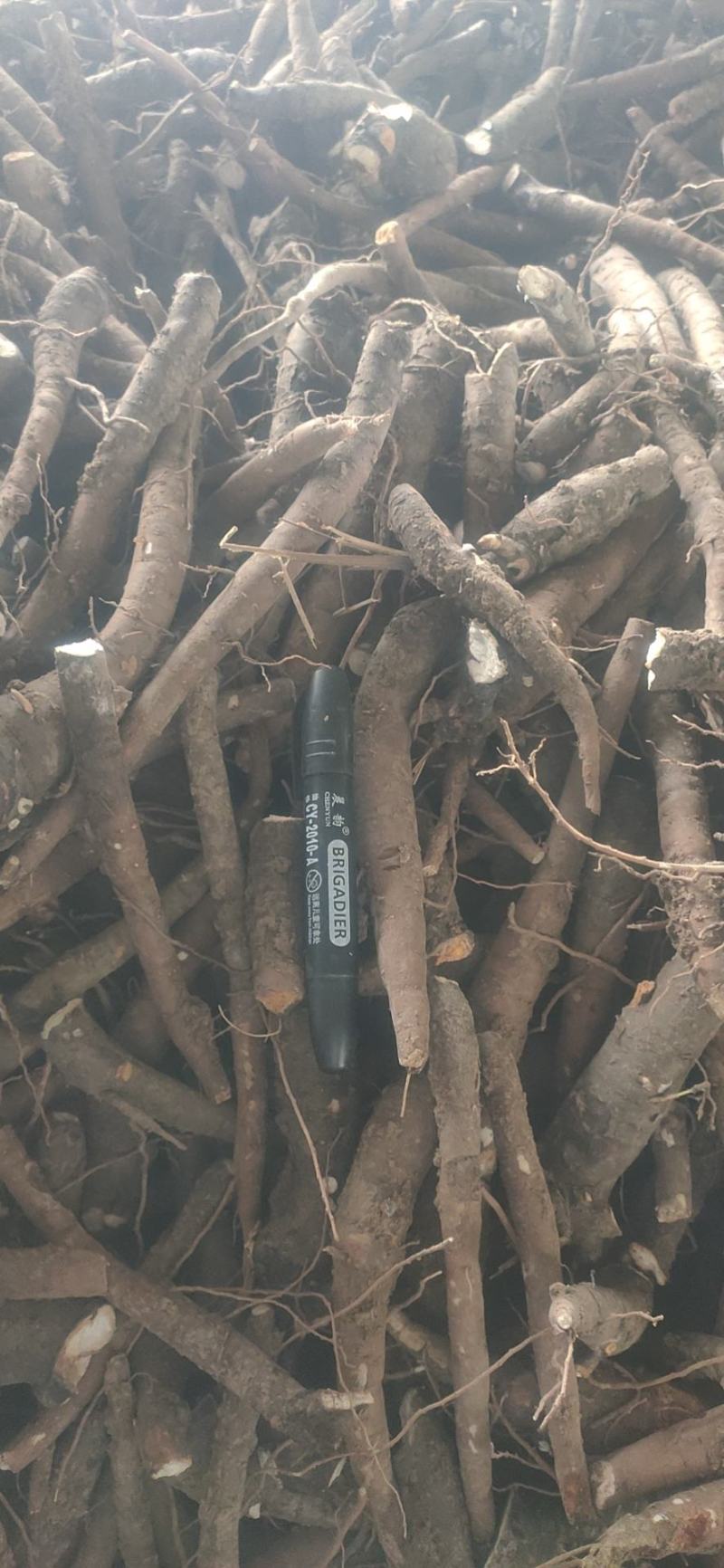 大量收购鲜白芍安徽，河南，全国接单