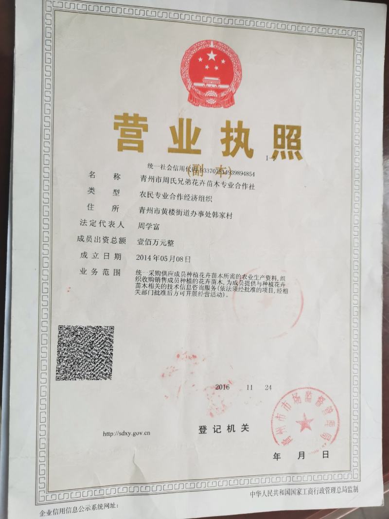 卡尔拂子毛卡尔佛子毛基地直供质优价廉