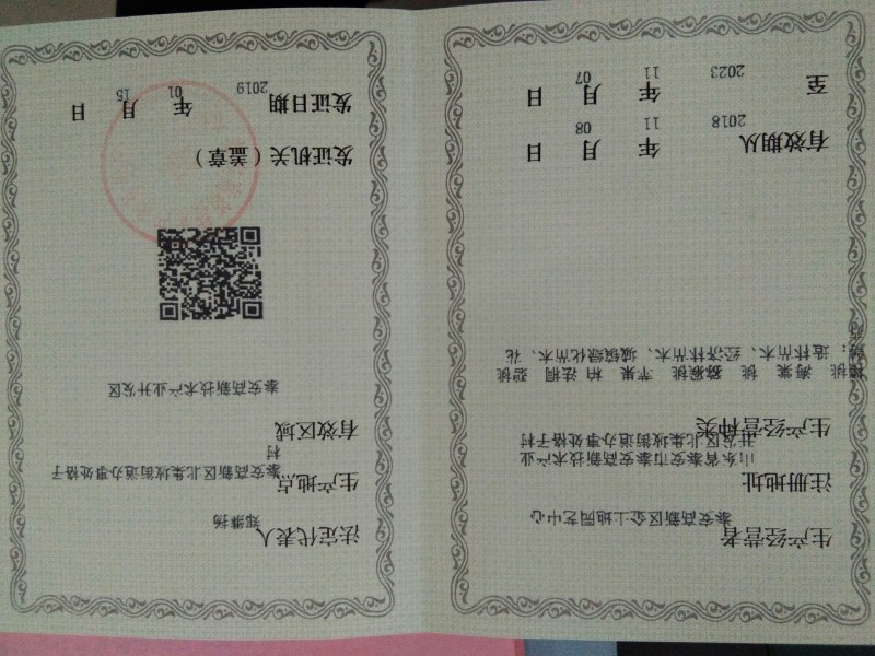 【杏树种子热卖】杏树种子杏核种子杏种子山杏种子嫁接砧木