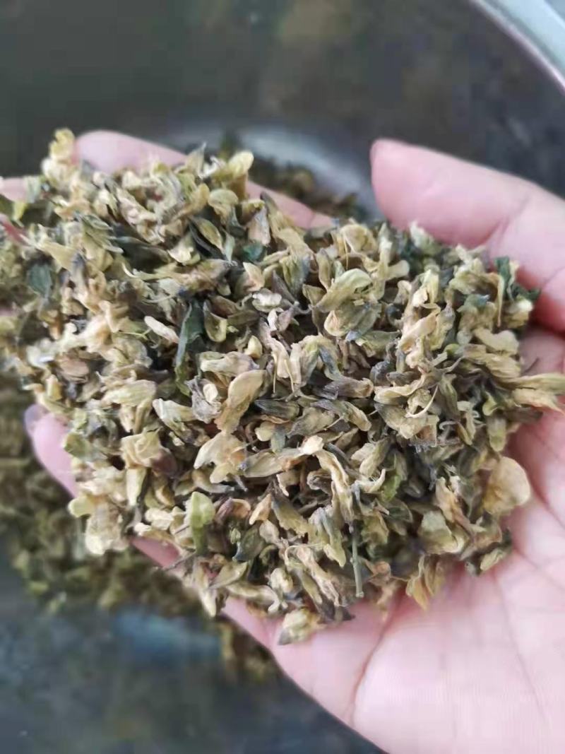 野菜特菜