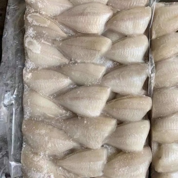 玻璃鱼批发