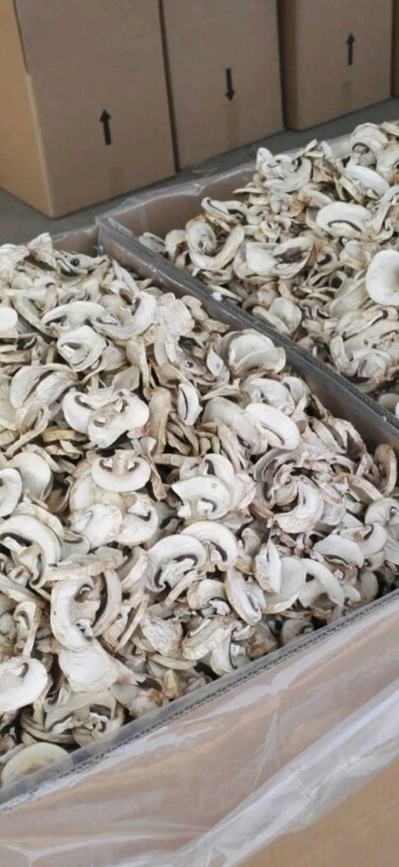 新季双孢菇热风干干片。本产品支持检测。无农残无多菌灵可定
