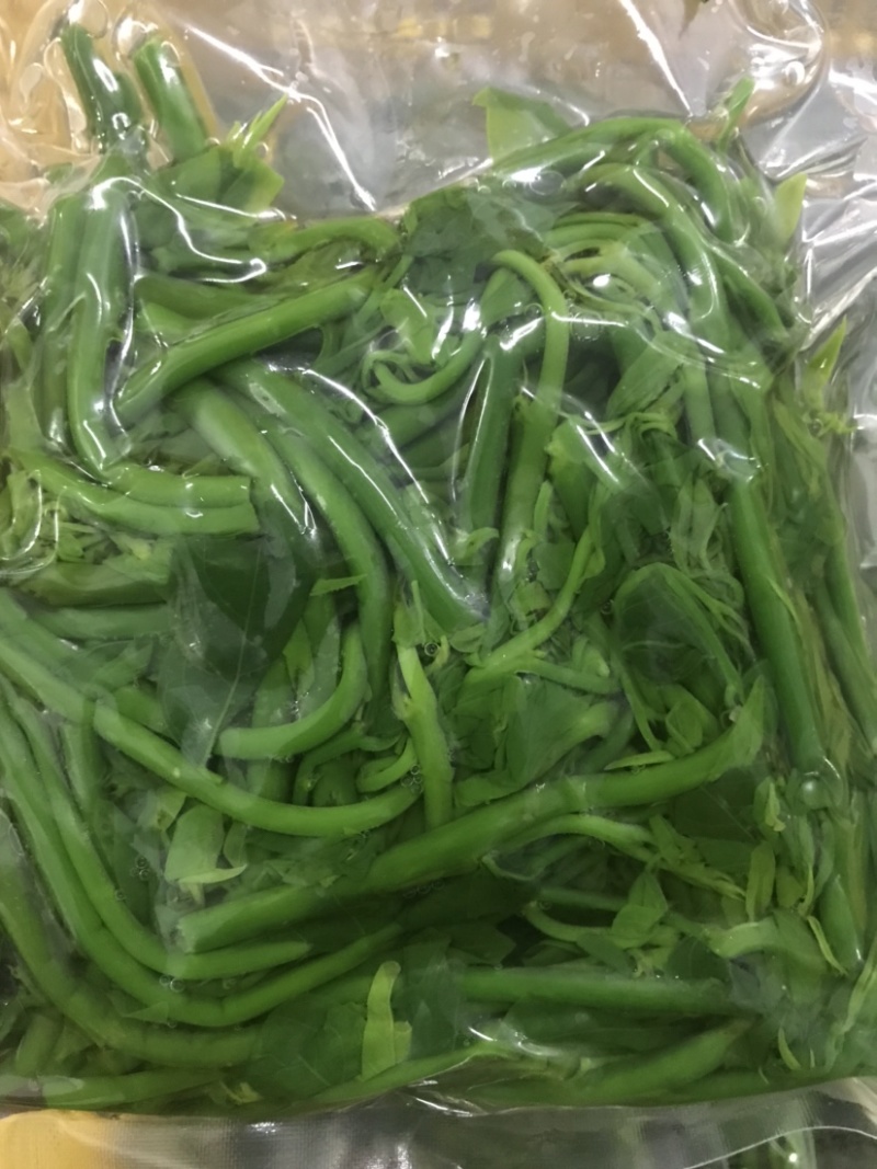 易农果蔬冻品树仔菜