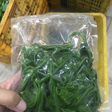 易农果蔬冻品树仔菜