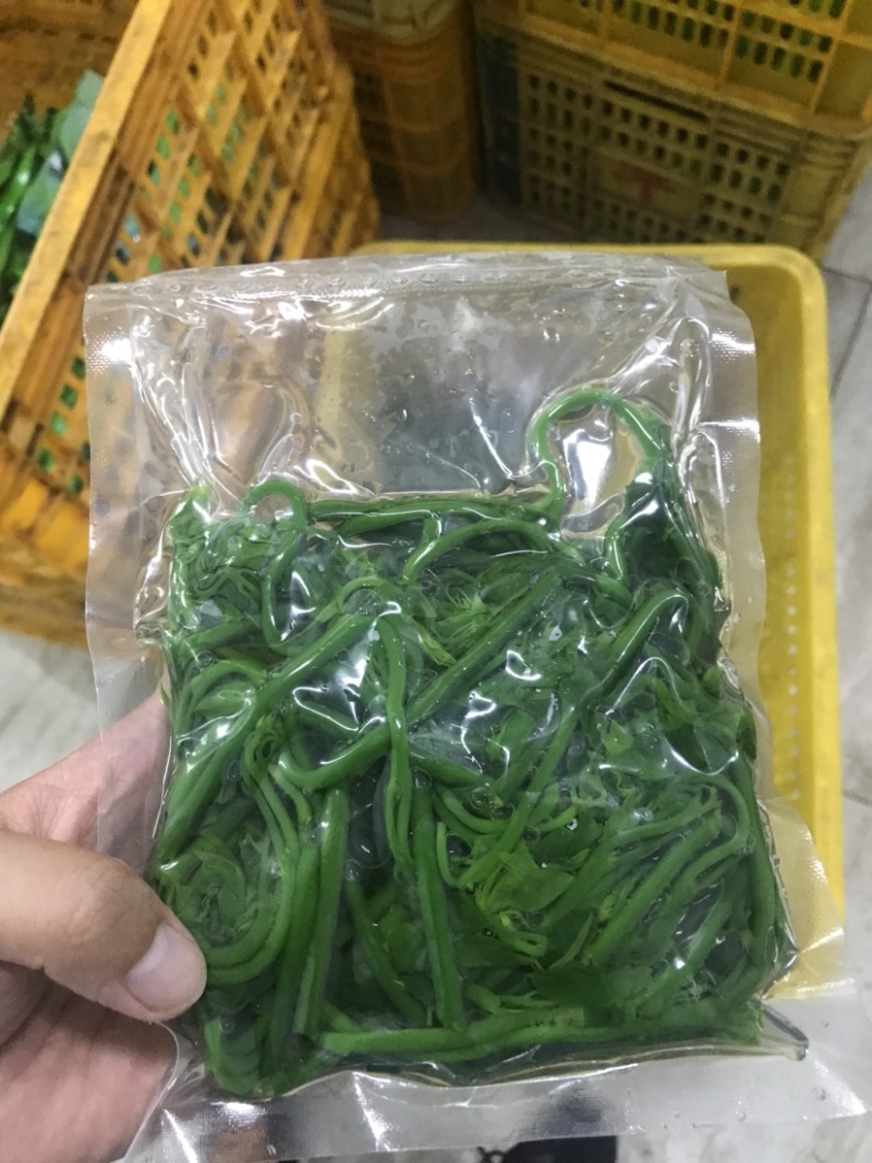 易农果蔬冻品树仔菜