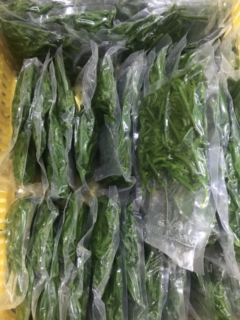 易农果蔬冻品树仔菜