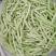 青岛平度市精品芸豆大量上市