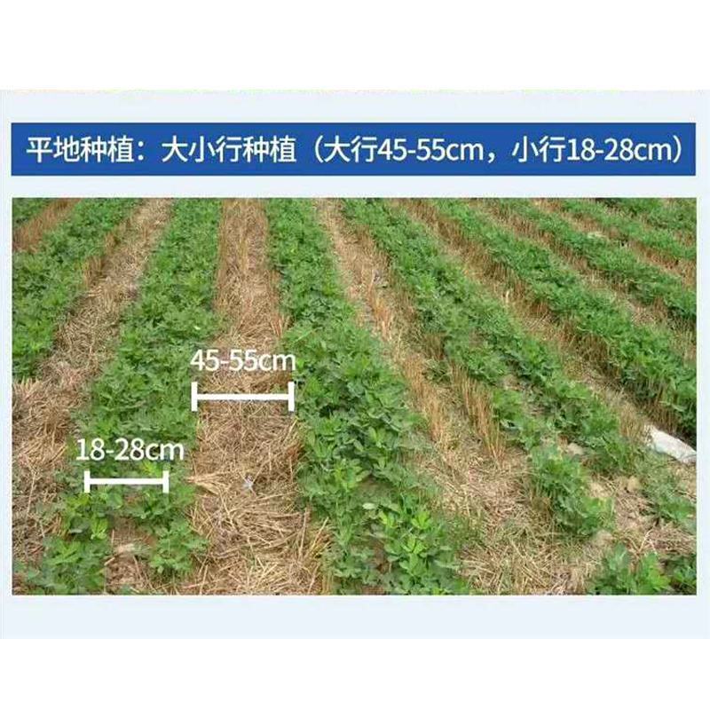 花生收获机拖拉机带链条式花生收获机起花生刨花生机器