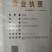 日本樱花树3公分樱花山东绿化苗基地樱花树染井吉野樱花