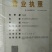 【山东玉兰树苗基地】紫玉兰白玉兰工程玉兰树红花大花玉兰