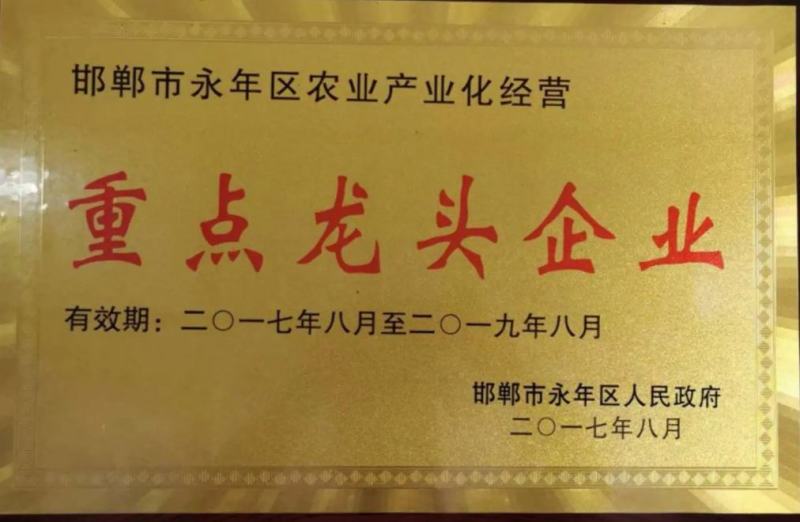 冲施肥海藻鱼蛋白海藻氨基酸深海鱼蛋白液体肥进口