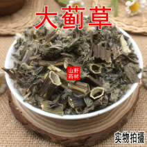 云南野生中药材大蓟草大刺儿菜马蓟虎蓟刺蓟野刺菜