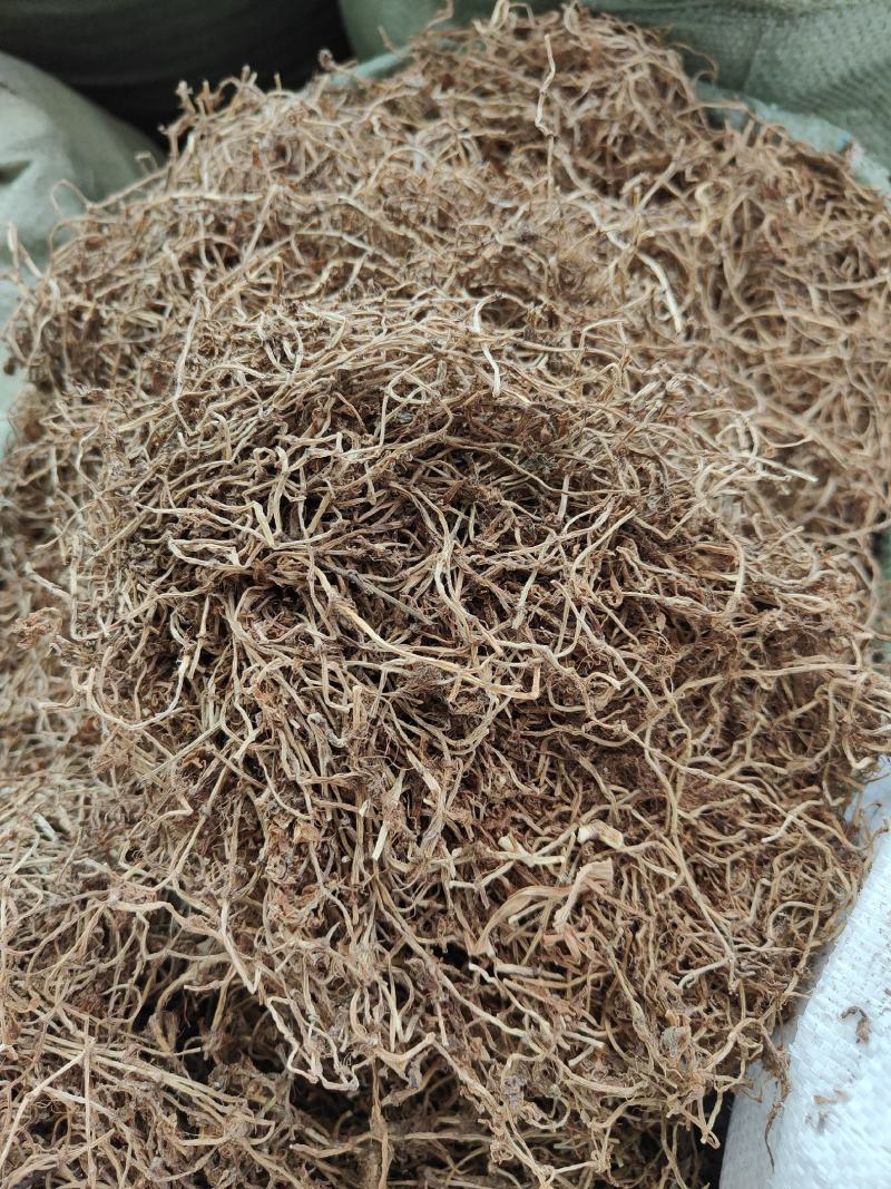 中草药垂盆草产地一手货源垂盆草干货