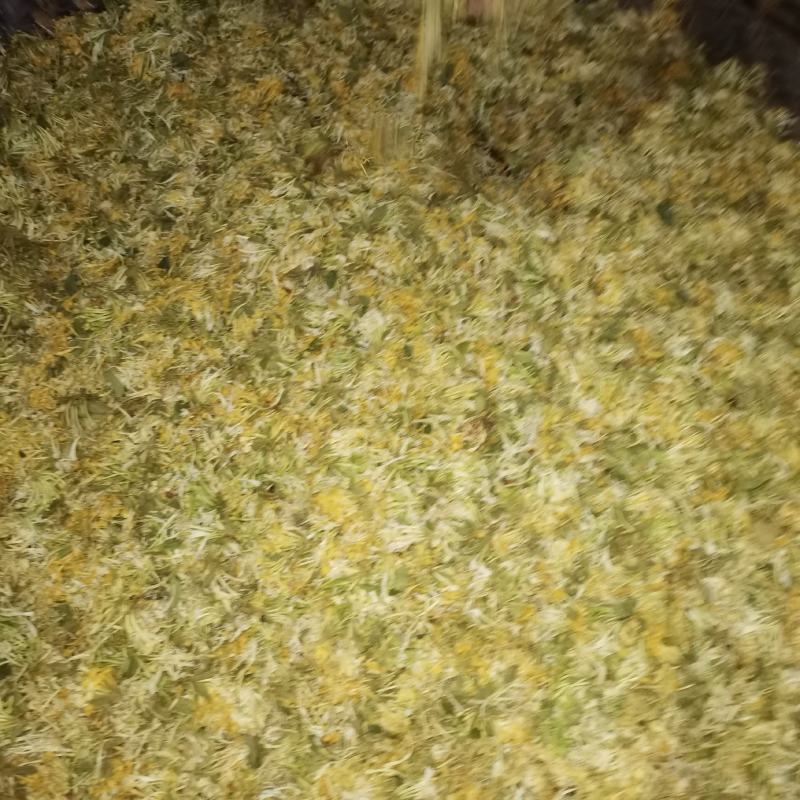 农家野生金银花，烘干机烘干花自晒花金银花蕾