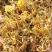农家野生金银花，烘干机烘干花自晒花金银花蕾