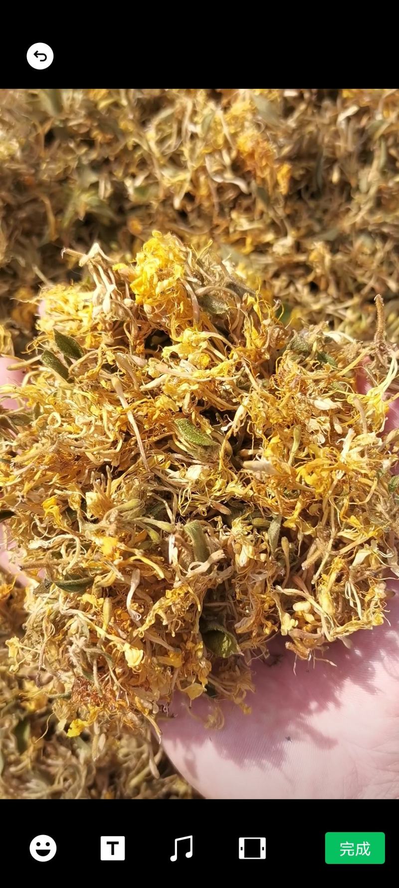 农家野生金银花，烘干机烘干花自晒花金银花蕾
