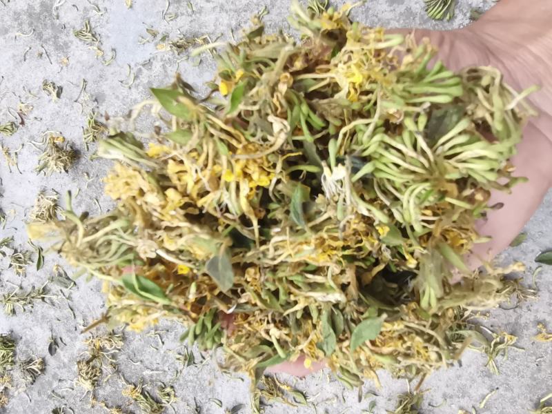 农家野生金银花，烘干机烘干花自晒花金银花蕾