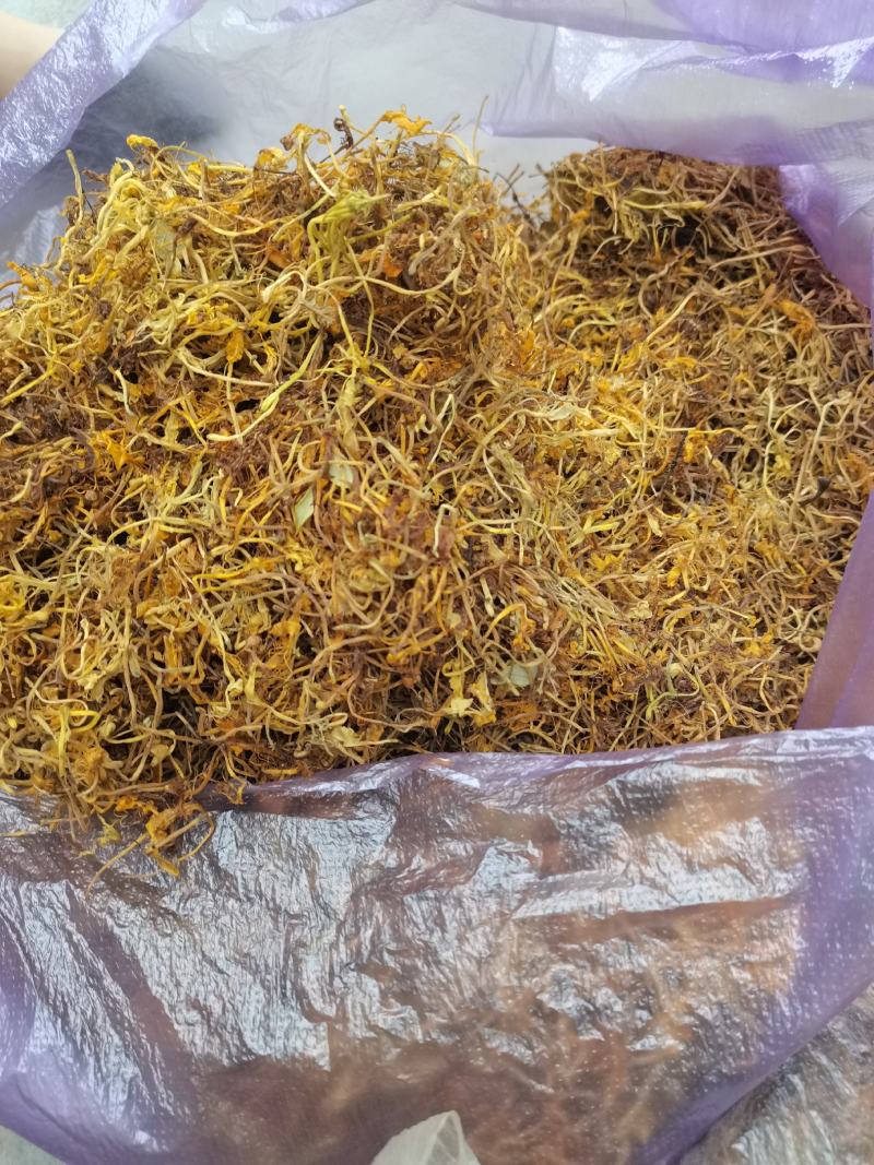 农家野生金银花，烘干机烘干花自晒花金银花蕾