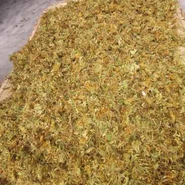 农家野生金银花，烘干机烘干花自晒花金银花蕾