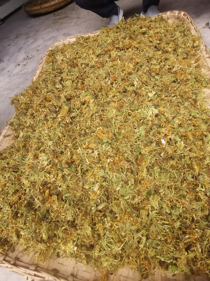 农家野生金银花，烘干机烘干花自晒花金银花蕾