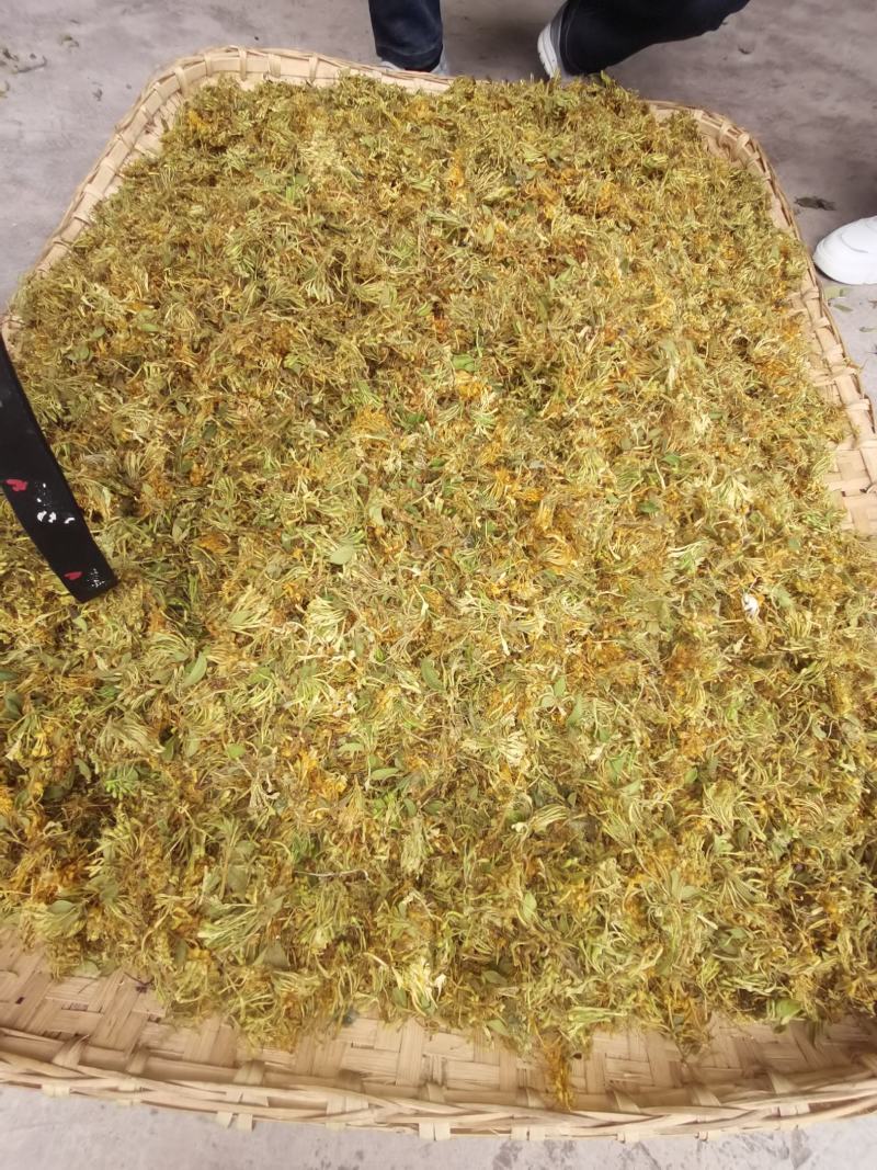 农家野生金银花，烘干机烘干花自晒花金银花蕾