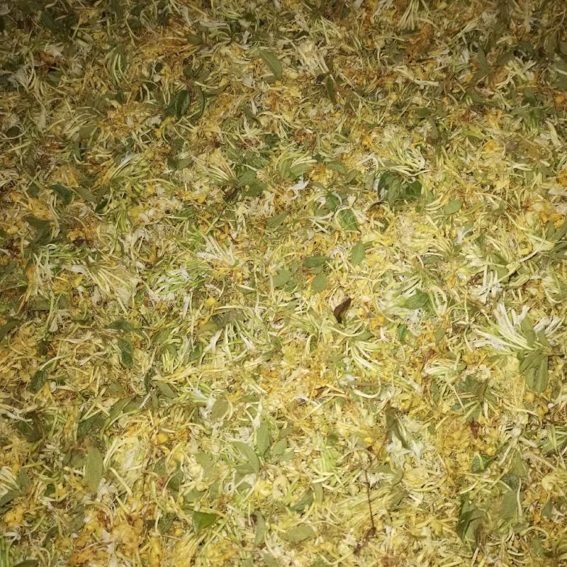 农家野生金银花，烘干机烘干花自晒花金银花蕾
